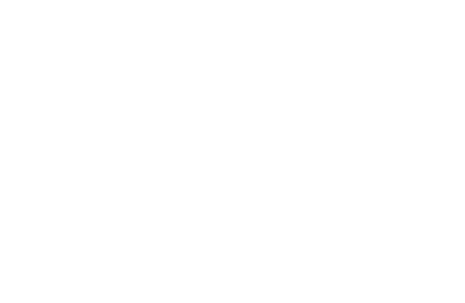 शादी Ki बारात